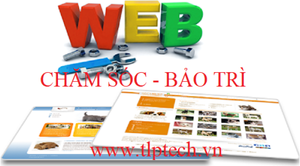 Tại sao cần phải chăm sóc, bảo trì và nâng cấp website.